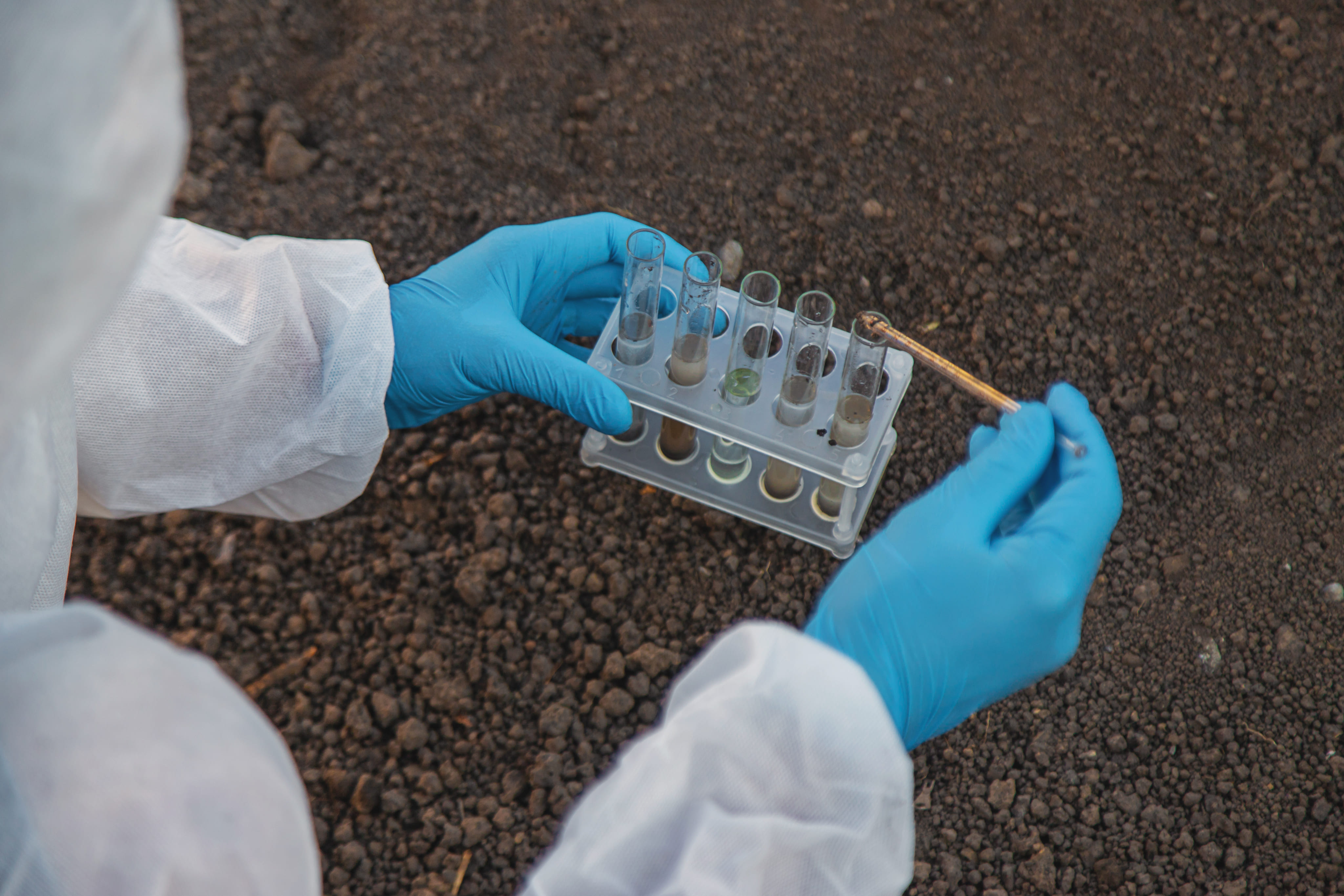 imagem representativa BioScan